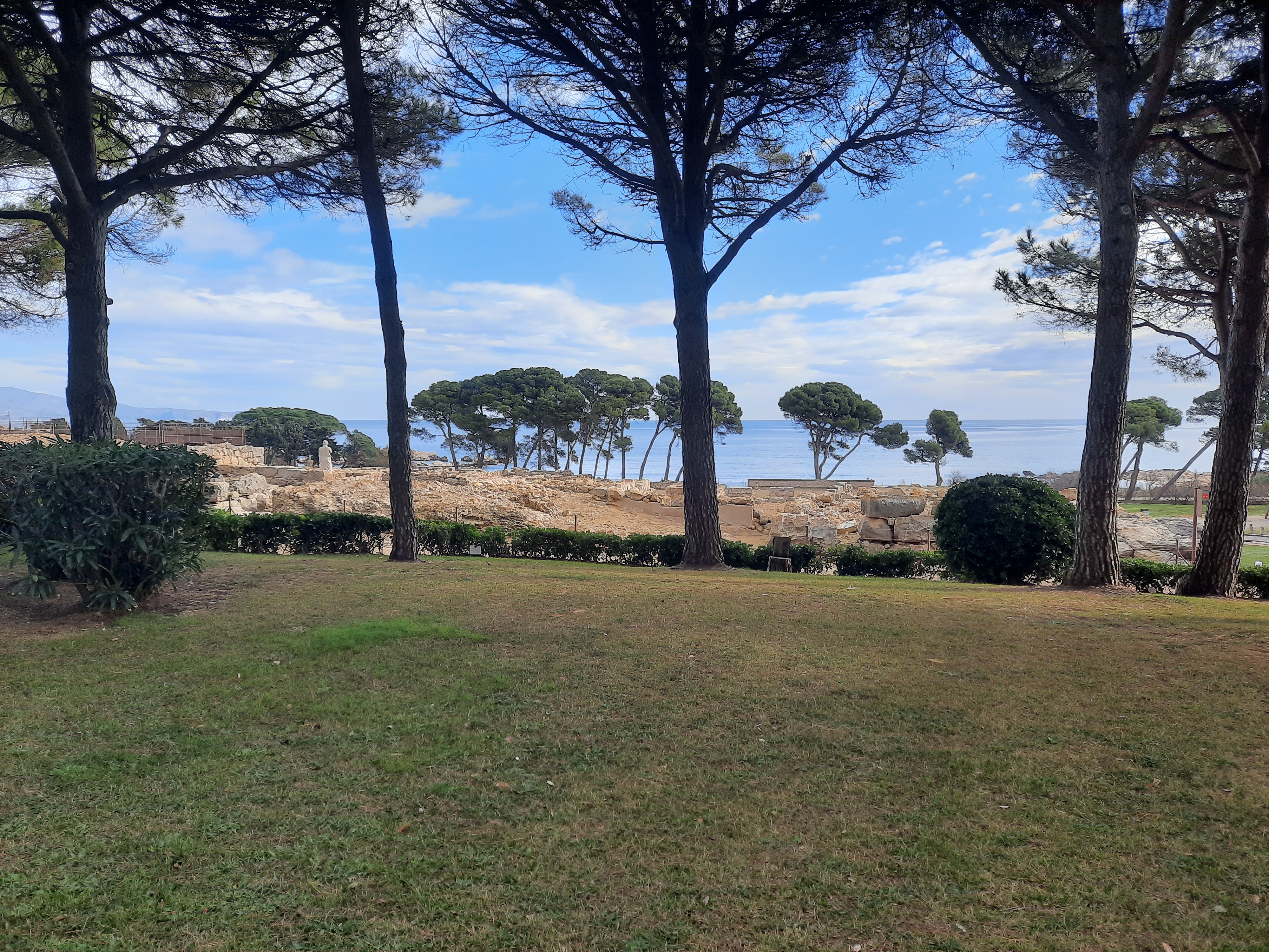 Jardí amb una pineda i el mar de fons.