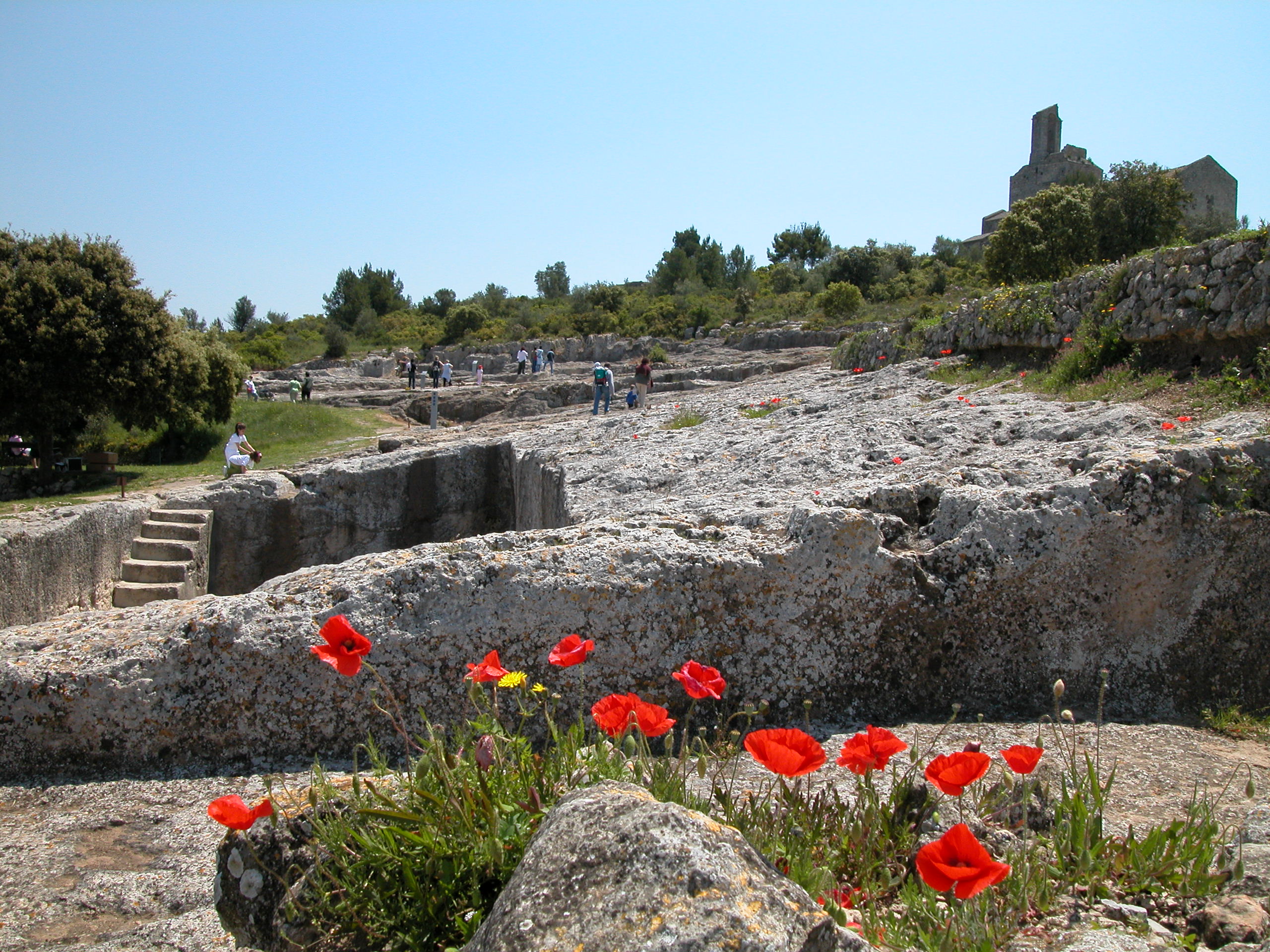 Exterior del jaciment d'Olèrdola envoltat d'arbres i gespa.