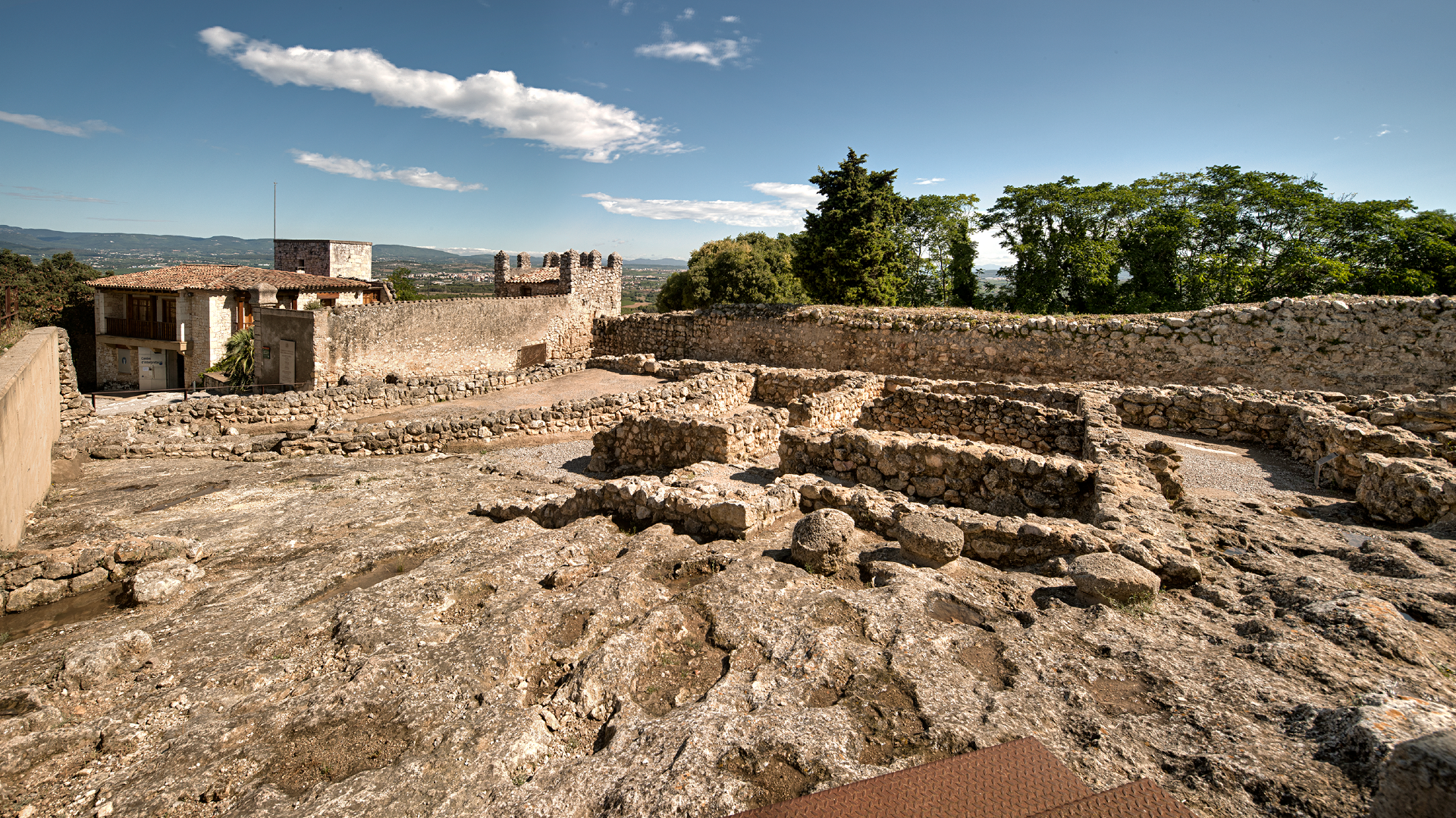 Part de la muralla del jaciment d'Olèrdola amb natura. 