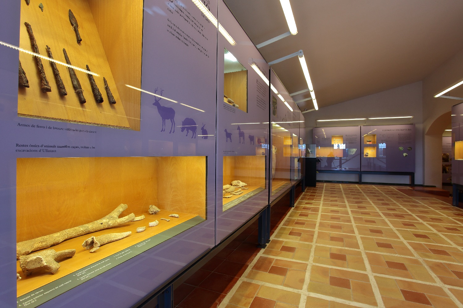 Sala buida d'un museu amb peces prehistòriques