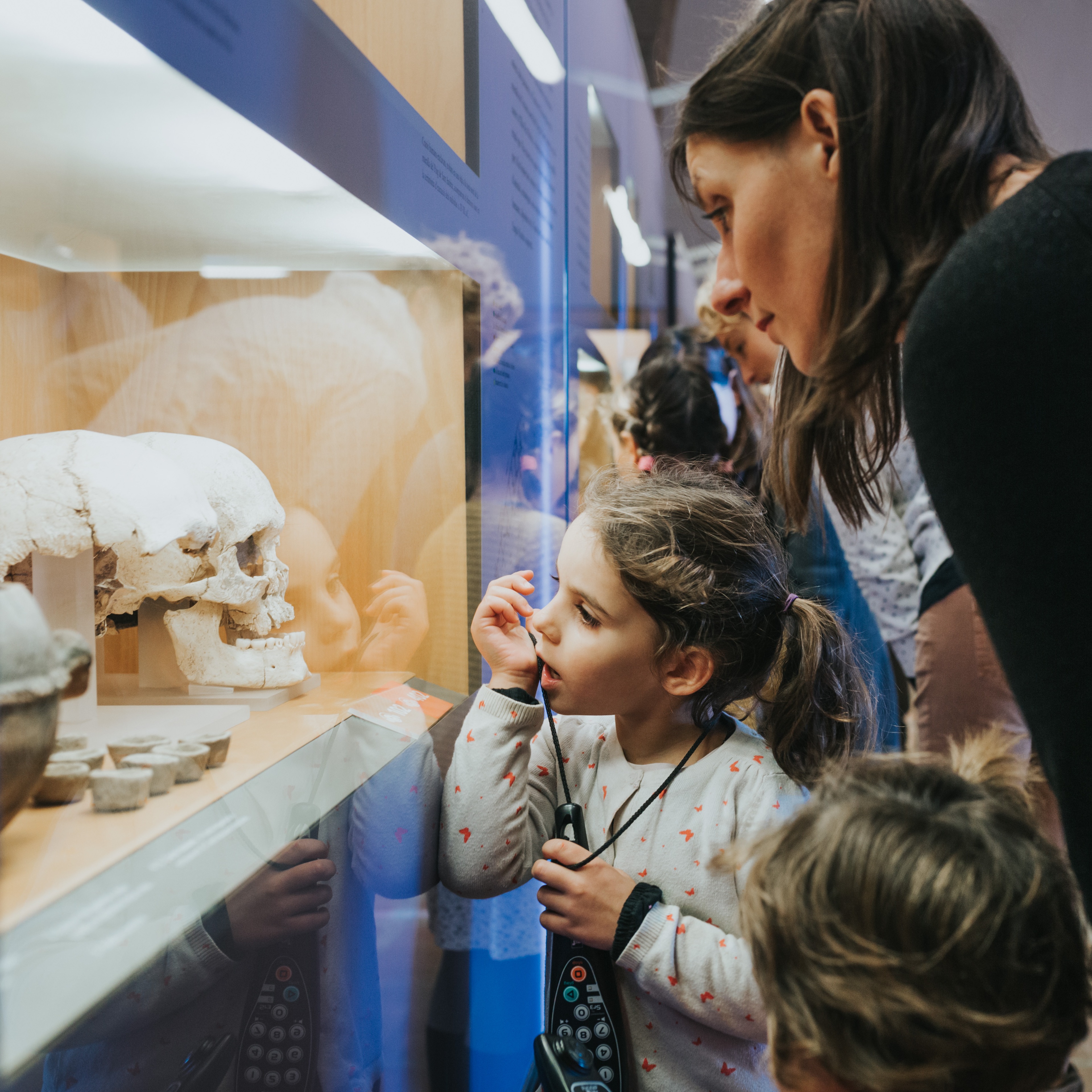 Una família mirant un crani exposat en una vitrina de museu.