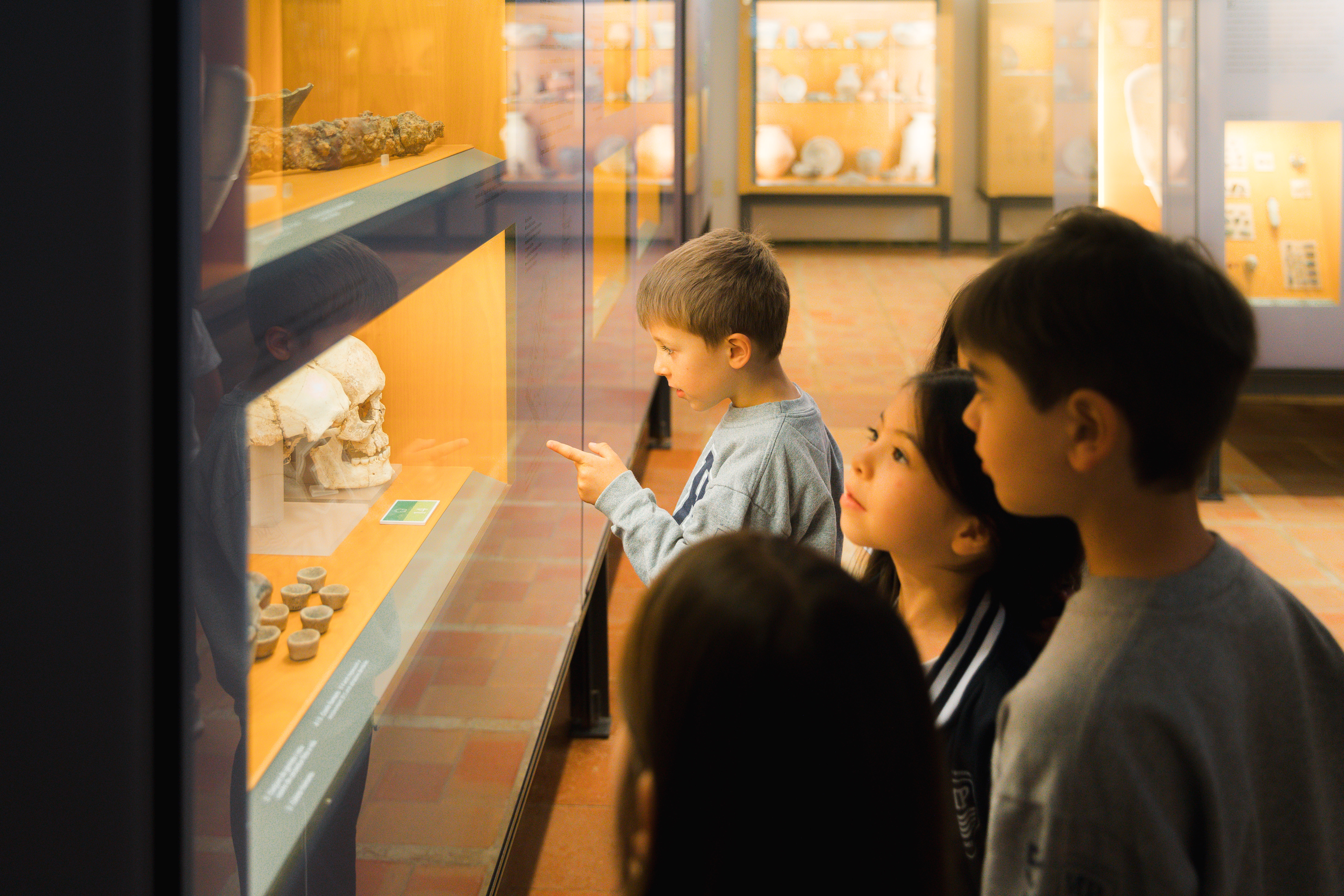 Sala immersiva amb projeccions sobre el passat d'Ullastret.