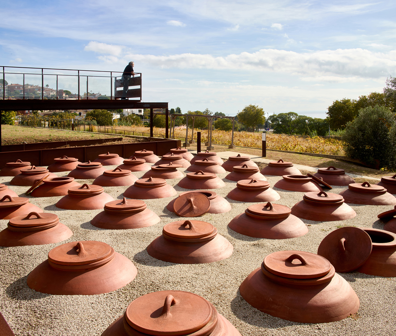 Parc arqueològic Cella Vinària de Teià (Vallmora) 